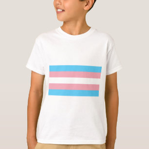 Camiseta Bandeira do Orgulho Transgênero - LGBT Trans Rainb