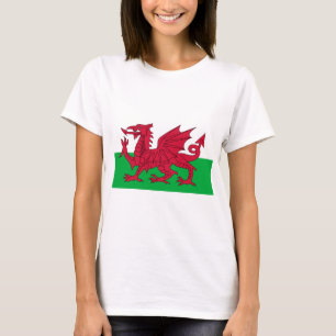 Camiseta Bandeira do País de Gales (País de Gales) (Dragão