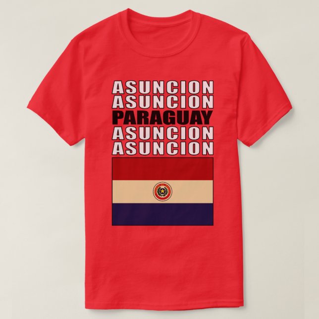 Camiseta Bandeira do Paraguai (Frente do Design)
