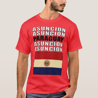 Camiseta Bandeira do Paraguai