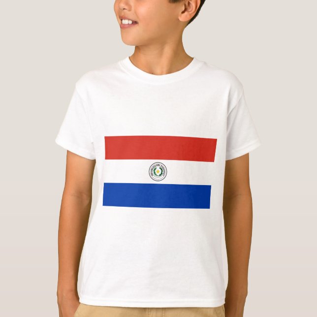 Camiseta Bandeira do Paraguai (Frente)