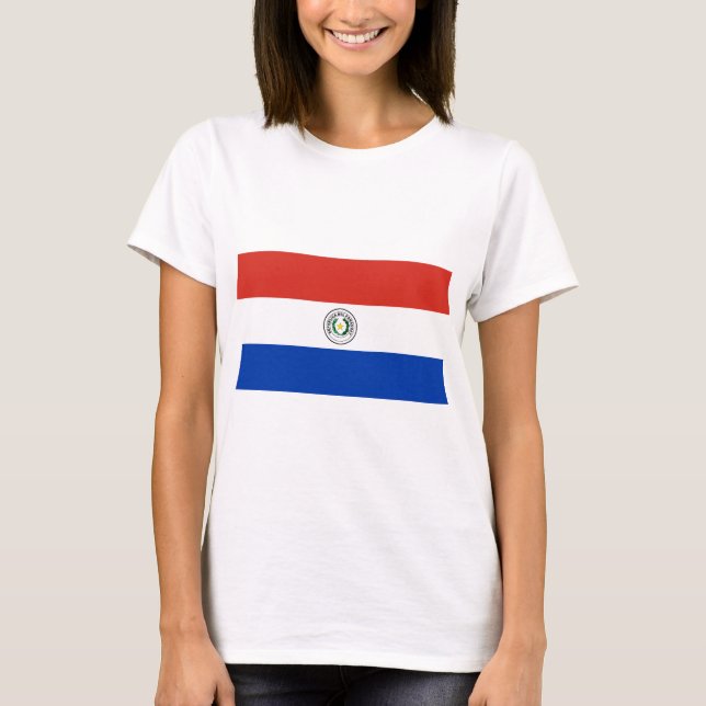 Camiseta Bandeira do Paraguai (Frente)
