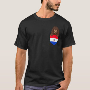 Camiseta Bandeira do Paraguai: Cão-de-Espanha-água irlandês