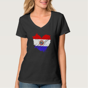 Camiseta Bandeira do Paraguai Eu amo Está no meu DNA Parag