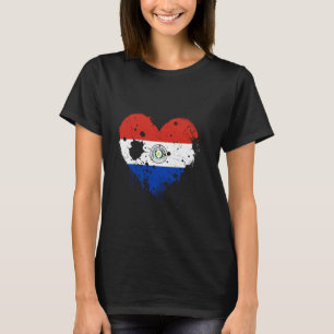 Camiseta Bandeira do Paraguai Orgulho Paraguaio Coração Raí