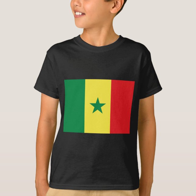 Camiseta Bandeira do Senegal (Frente)