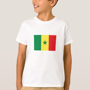 Camiseta Bandeira do Senegal