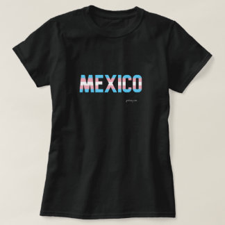 Camiseta Bandeira do Transgênero do Orgulho do México