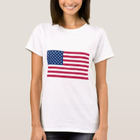 Bandeira Dos Estados Unidos Da América