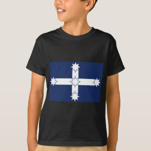 Camiseta bandeira eureka