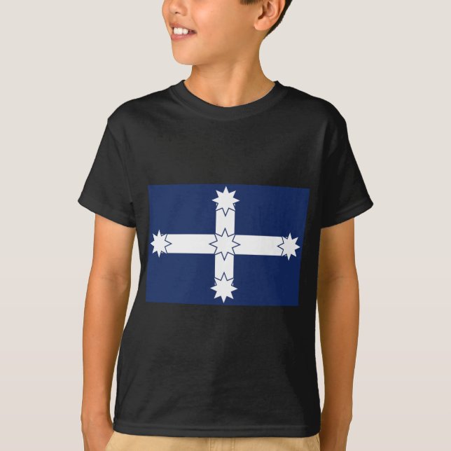 Camiseta bandeira eureka (Frente)