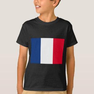 Camiseta Bandeira França