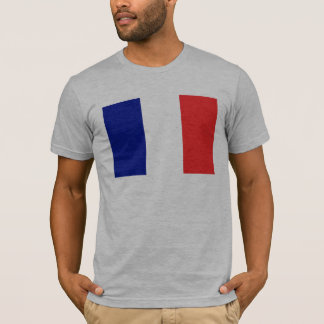 Camiseta Bandeira França