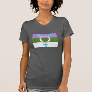 Camiseta Bandeira Genderqueer Símbolo Trans
