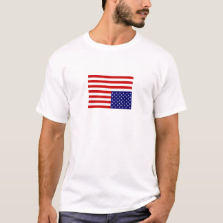 Camiseta bandeira grande