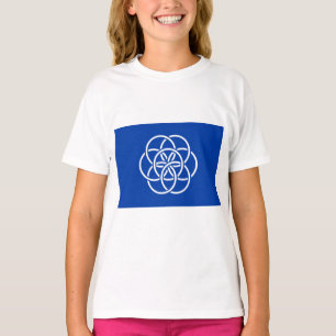 Camiseta Bandeira Internacional do Planeta Terra