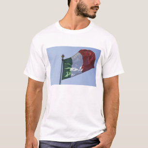 Camiseta Bandeira Irlandesa