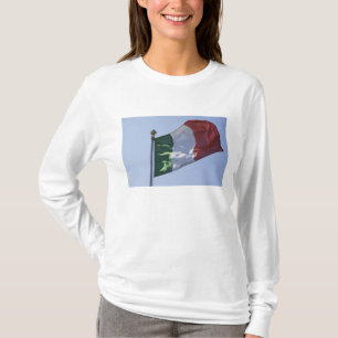 Camiseta Bandeira Irlandesa