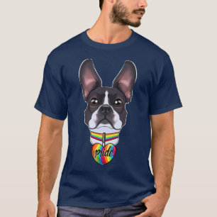 Camiseta Bandeira LGBTQ I Orgulho gay Sinalizador I Boston
