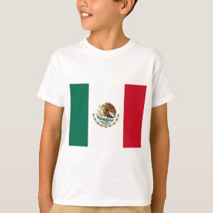 Camiseta Bandeira Mexicana