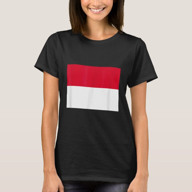 Camiseta bandeira Mônaco (Frente)