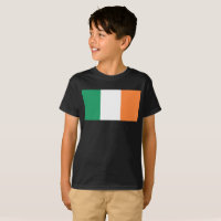 Bandeira Nacional da Irlanda, padrão irlandês, Est