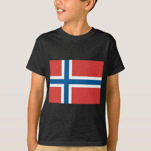 Camiseta Bandeira norueguesa