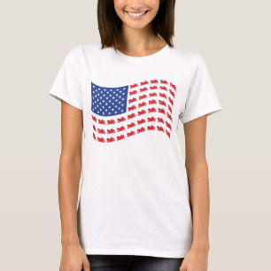 Camiseta bandeira-ONDULANTE-cRUZER