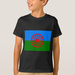 Camiseta Bandeira Roma (Bandeira Romani)