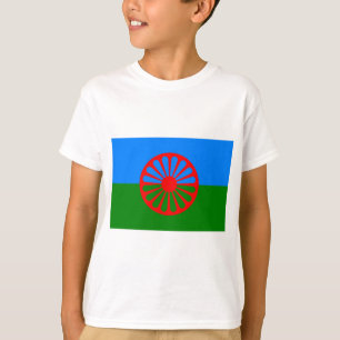 Camiseta Bandeira Roma (Bandeira Romani)