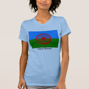 Camiseta Bandeira Romani