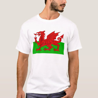 Camiseta Bandeira Welsh / Wales - Imagem de Alta Qualidade