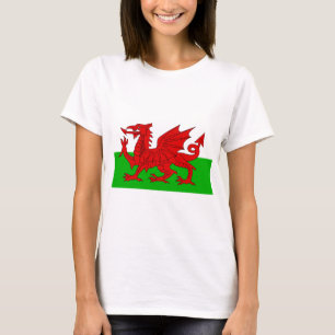 Camiseta Bandeira Welsh / Wales - Imagem de Alta Qualidade