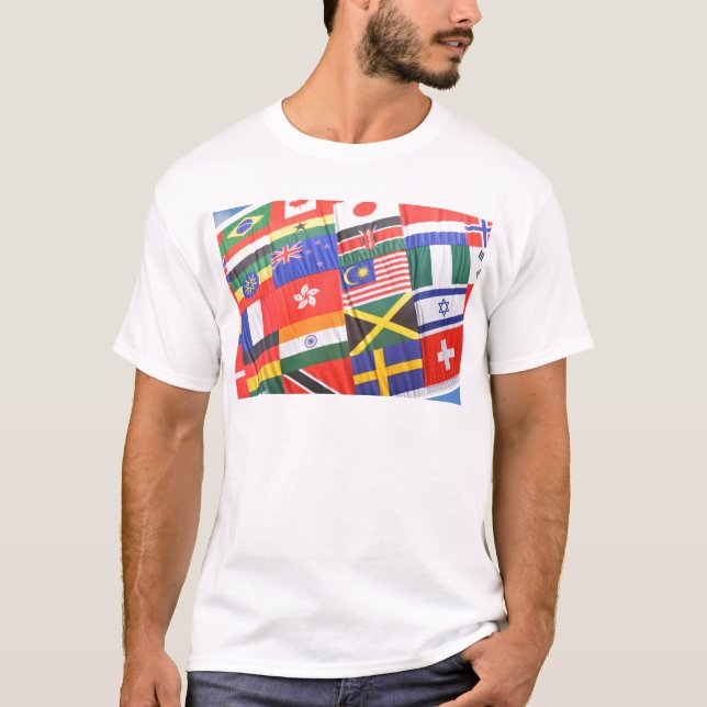 Camiseta Bandeiras do mundo (Frente)