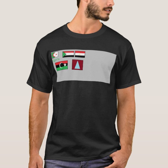 Camiseta Bandeiras do mundo (Frente)