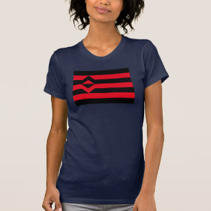 CAMISETA BANDERA DE ORGULHO DO PUNHO