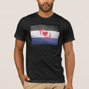 CAMISETA BANDERRA ORGULHO SWITCH