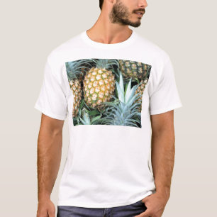 Camiseta Bando de abacaxi tropical havaiano