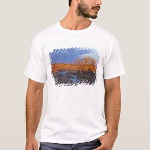Camiseta Banhado pela luz do pôr do sol o rio Calamus
