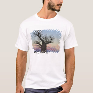 Camiseta Baobás, Bermuda, Toliara, Madagáscar