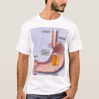 Camiseta Barriga de cerveja