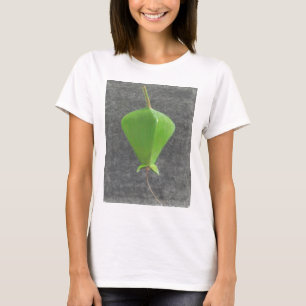 Camiseta Barringtonia Acutangula