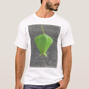 Camiseta Barringtonia Acutangula