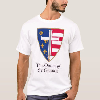 Camiseta básica masculina