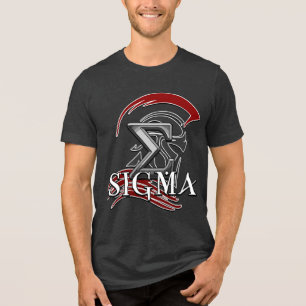 Camiseta Básica Masculina SIGMA 3b