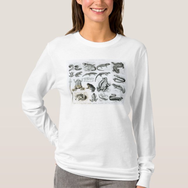 Camiseta Batráquios e outros anfíbios (Frente)