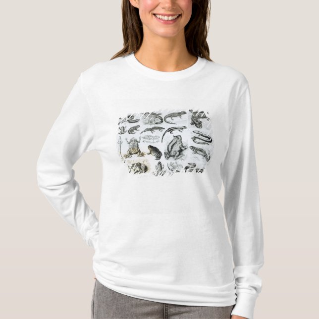 Camiseta Batráquios e outros anfíbios (Frente)