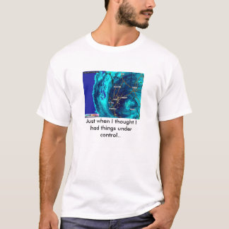 Camiseta BayAreaDoppler, no exato momento em que eu me