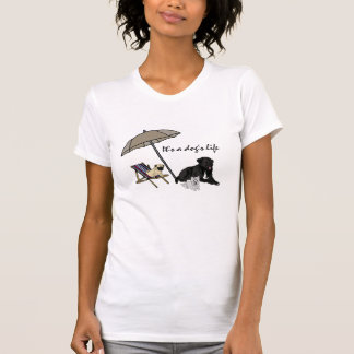 Camiseta BC- é t-shirt da vida de um cão