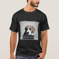 Beagle Naughty